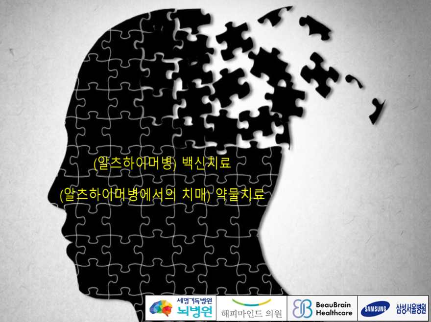 알츠하이머병 백신치료, 알츠하이머병에서의 치매 약물치료